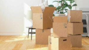 Packers and Movers Naupada
