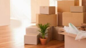 Packers and Movers Majiwada