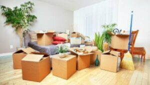 Packers and Movers Kapurbawdi