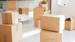 Packers and Movers Roadpali