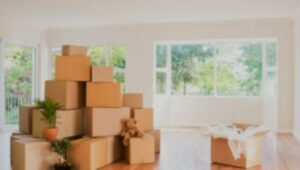 Packers and Movers Nerul