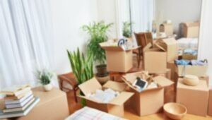 Packers and Movers Worli