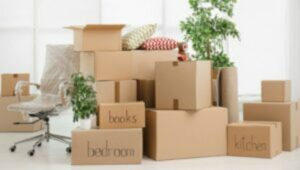Packers and Movers Santacruz