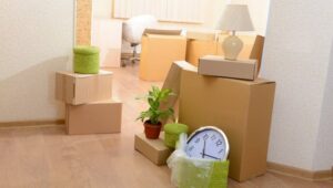 Packers and Movers Byculla