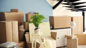 Packers and Movers Borivali